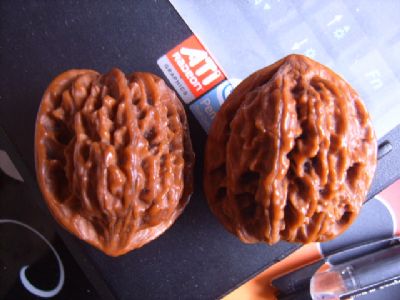 ´ͼƬ